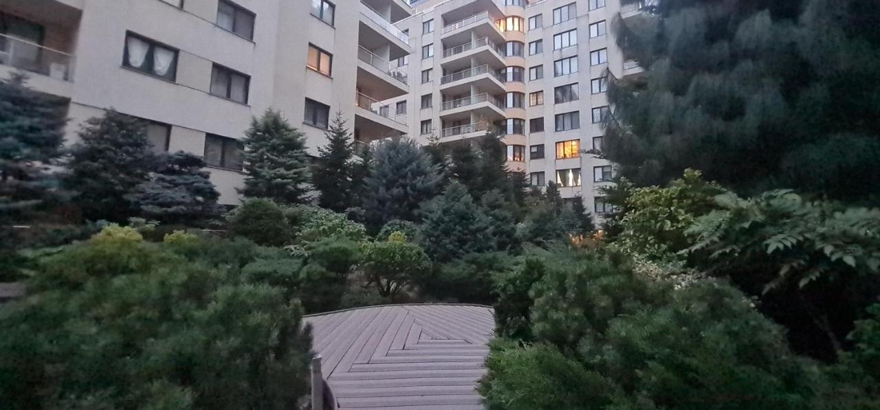 Garden Oasis Studio Bukarest Exteriör bild